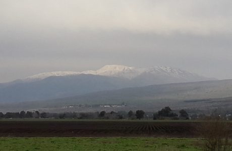 (כשל?) פריון העבודה בישראל